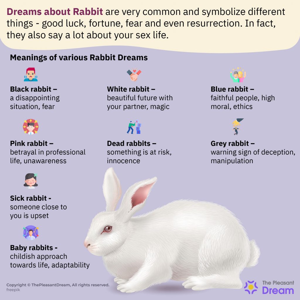 Dreaming of a black and a white rabbit meaning and interpretation