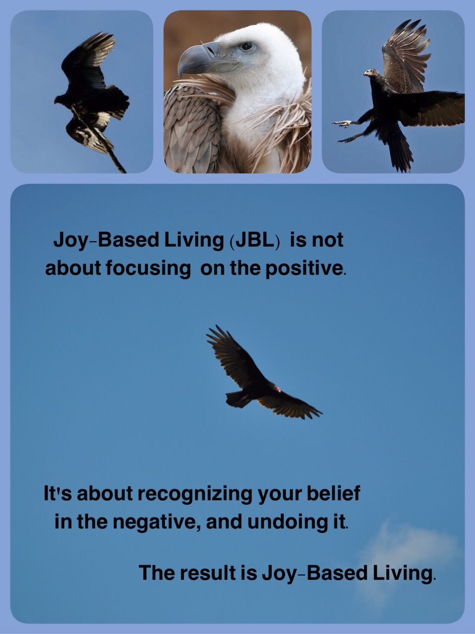 What Does a Vulture Symbolize? Its Not Always What You Think!