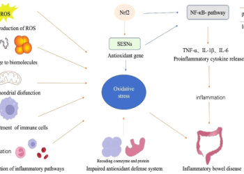 Whats the meaning of 1463? Discover the simple truth behind this number.