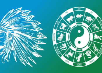 Beaver Spirit Totem: Is It Your Guiding Animal?