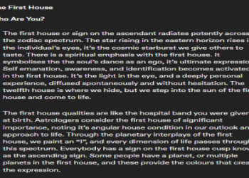 Raker & Celebs with Sun in the Sixth House: Key Traits