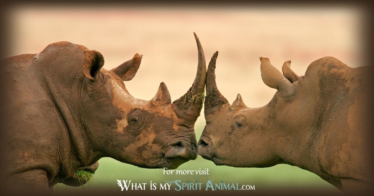 Rhino Spirit Animal: Discover the Symbolism & Power!
