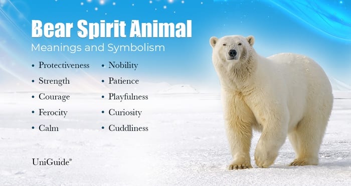Easy Guide to Polar Bear Spirit Animal Meaning and Power