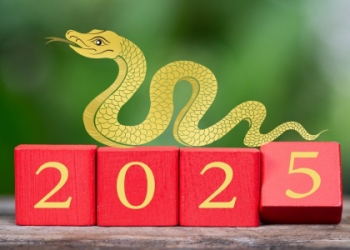 Spirit Animal Snake Traits(personality and meaning)