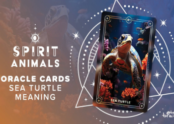 Sea Turtle Symbolism: Unlocking Spiritual Meaning in Life