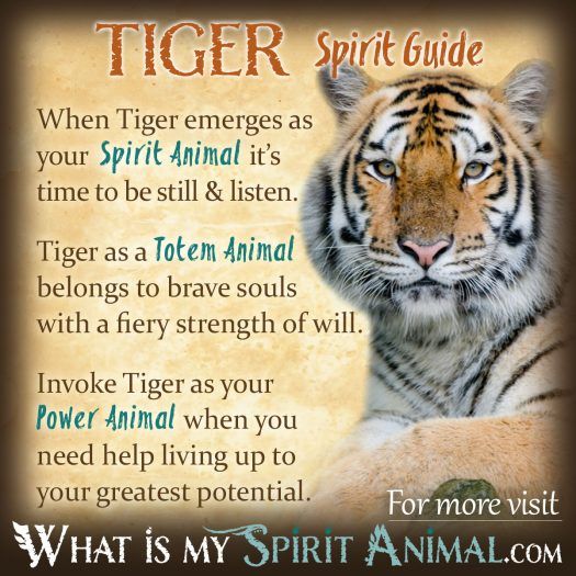 Rebirth Meaning of Tigers: Discover the Symbolism of Renewal and How It Inspires Us to Change