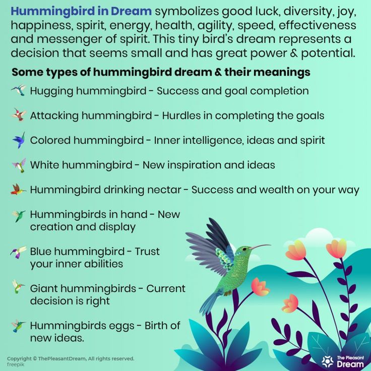 Hummingbird Dream Symbols: Decoding the Secret Messages in Your Sleep.