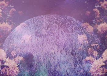 Dreaming of penguins? What do penguins symbolize for you?