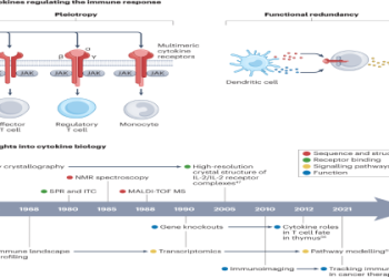 Computer Showing 5292? Heres What It Means and How to Fix It
