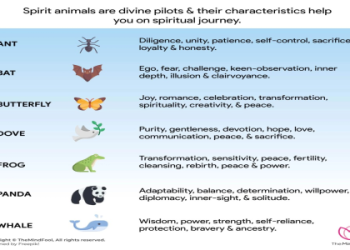 Spiritual Meaning of Mouse: Simple Signs & Symbolism Explained!