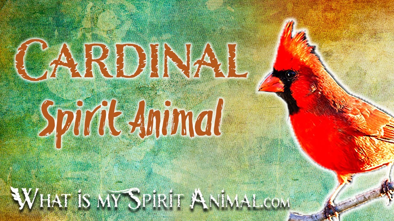 Cardinal Totem Meaning: Simple Guide to Symbolism & Power