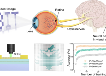 8298: What Does It Mean? Find Out fastly Here!