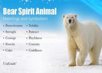 Is Buffalo Your Power Animal? Find Out Its Meaning and Symbolism!