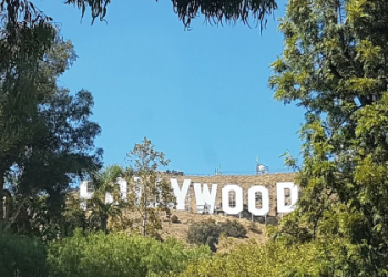 Is 339 Angel Number a Sign? Find Out What it Means for You.