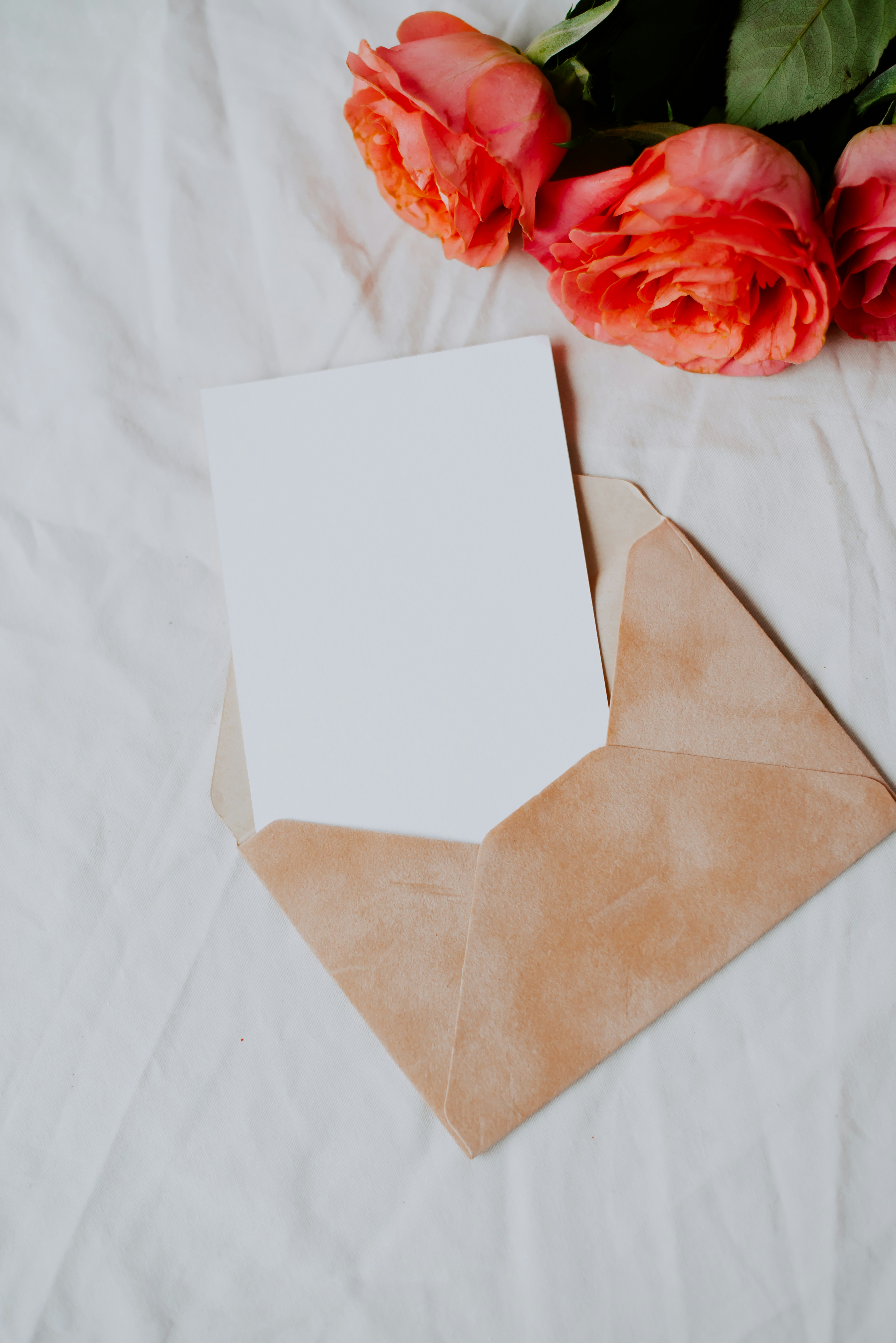 Mercury Conjunct Venus: Easy Tips for Love & Communication Now!