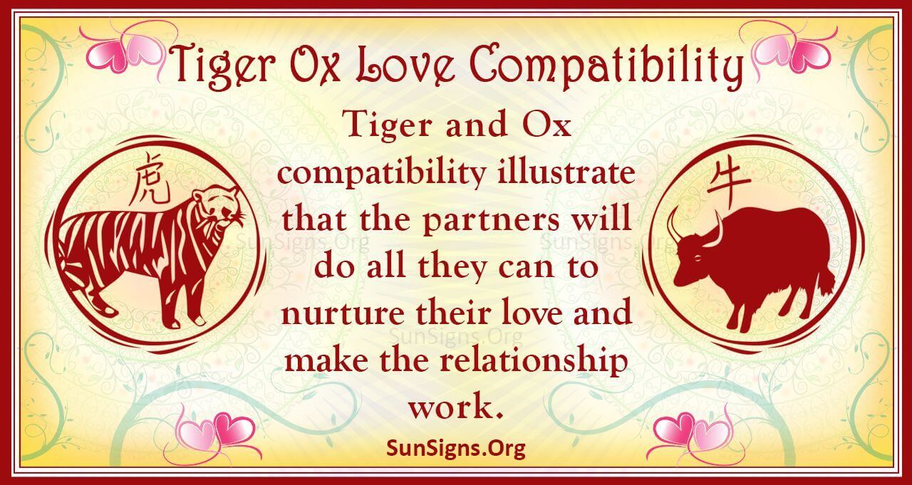 Ox Man Tiger Woman Compatibility: Good Match or Doomed from the Start?