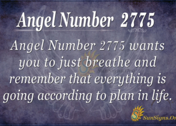 2772 Angel Number: Unlock the Secret Meaning & Message!