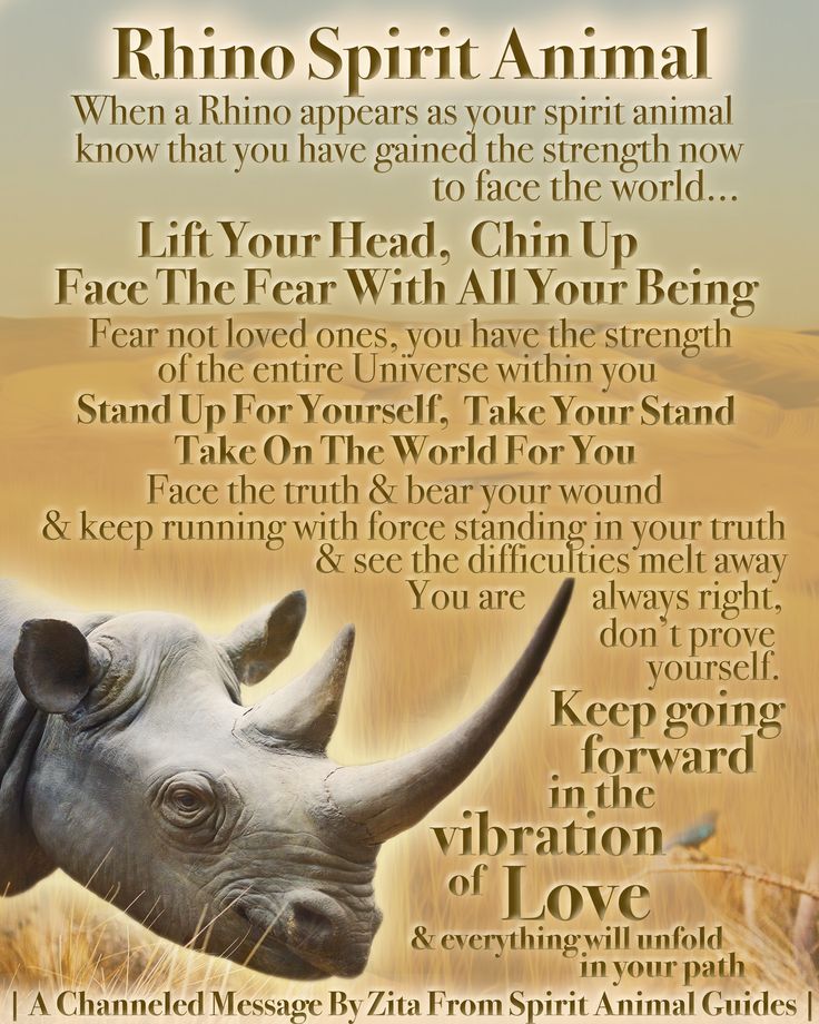Explore Rhino Spiritual Meaning: Your Totem Animal Guide!