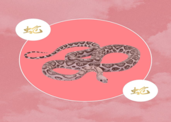 Dragon Horoscope Today: Get Your Daily Zodiac Predictions.