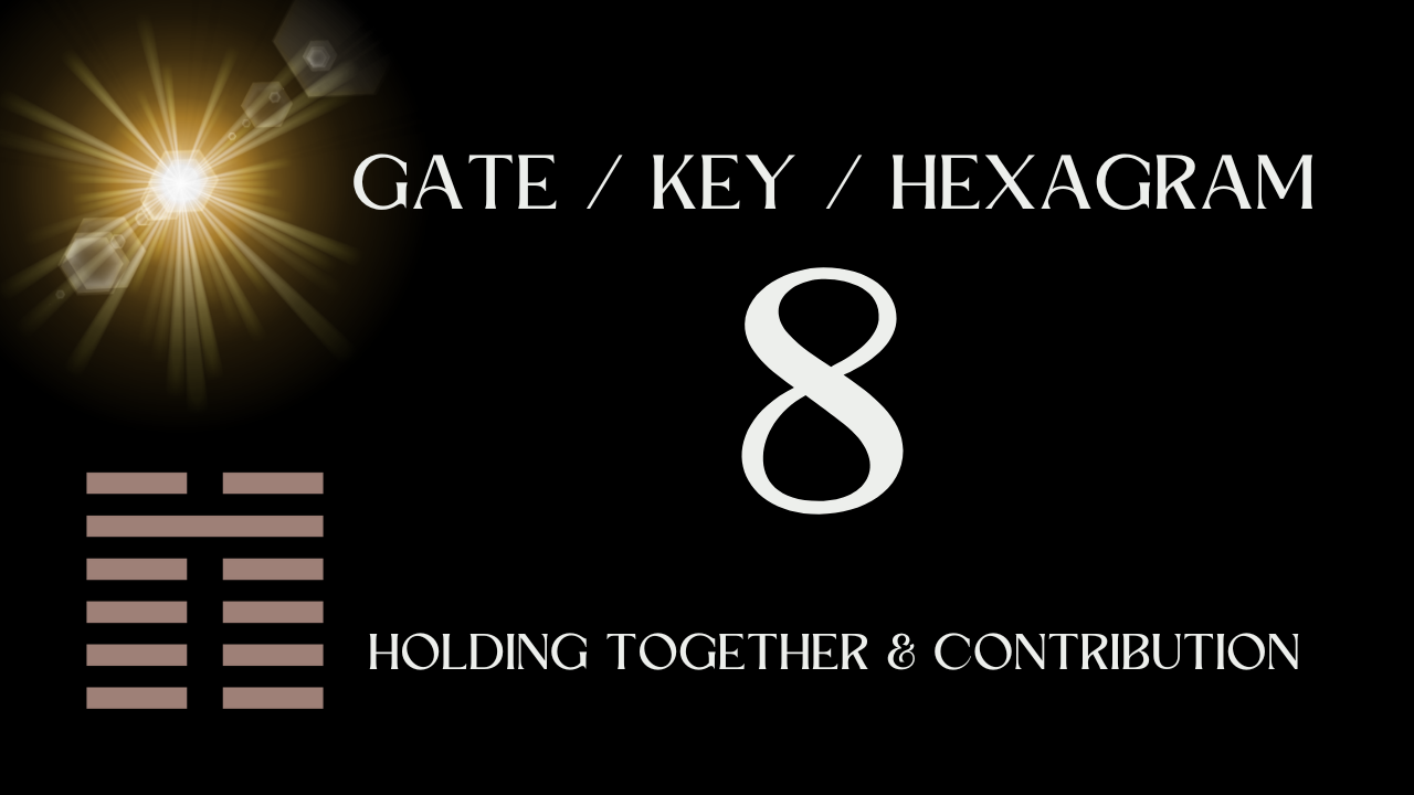 Unlock Hexagram 8: Discover the Secret to find Great success