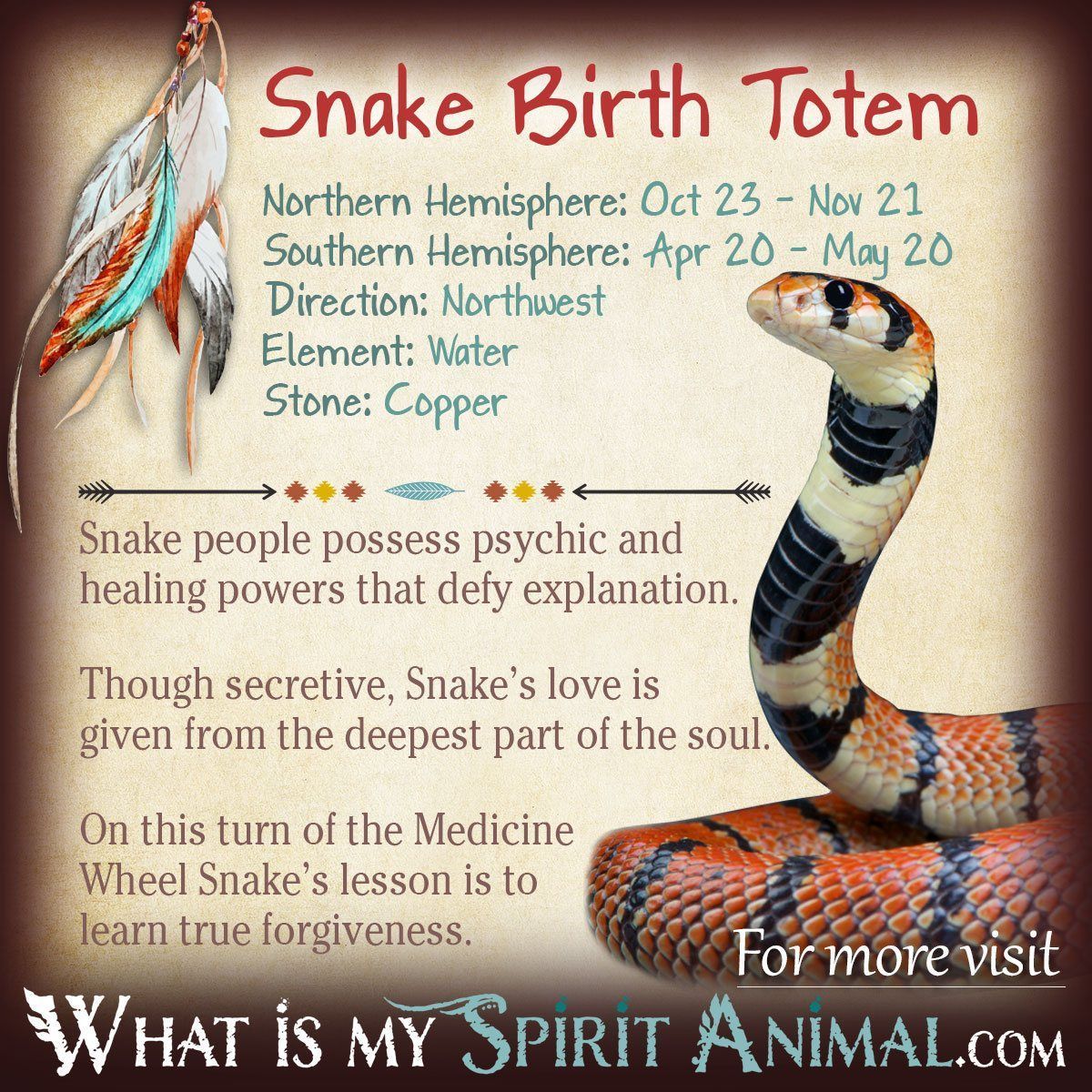 Spirit Animal Snake Traits(personality and meaning)