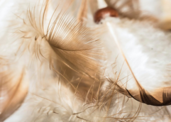 Decode 134 Angel Numbers Meaning for Love, Life, and More!