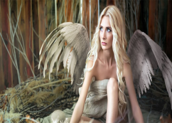 Seeing 132 Angel Number? Heres What It REALLY Means for You!