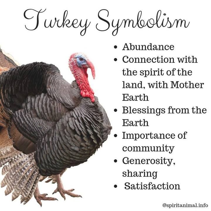 Got the Turkey Spirit Animal? Find Out What It Represents!