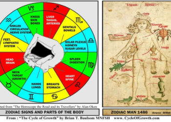 Is Jupiter in Your 6th House? Discover the Blessings and Challenges Now.