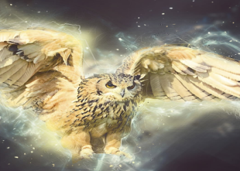 Skunk Animal Totem: What Does It Mean for Your Life?