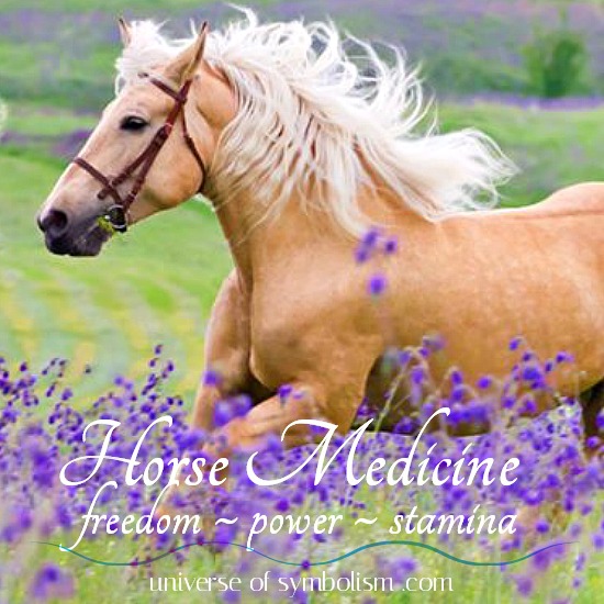 Horses Spiritual Meaning: Learn their Secret Symbolism.