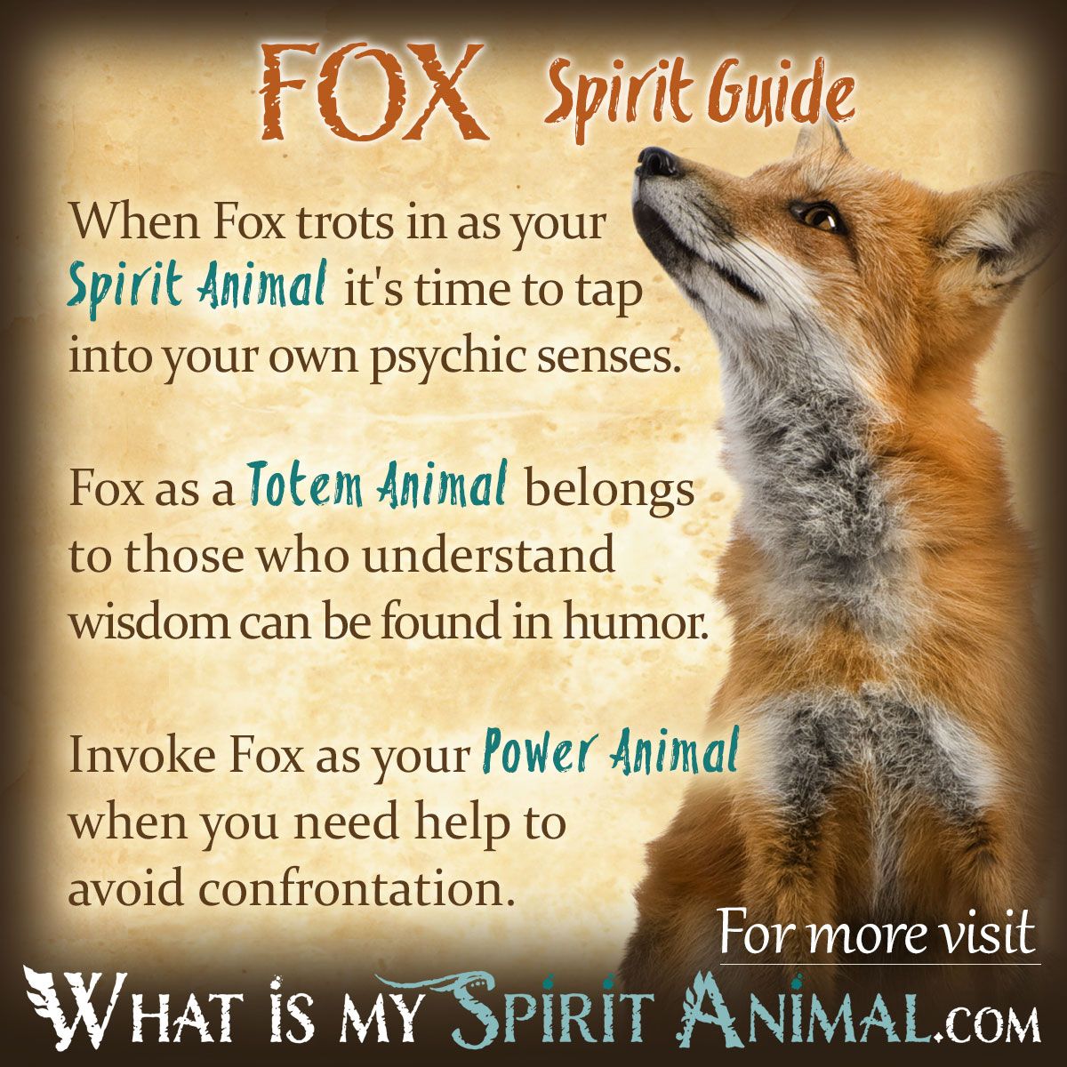 Dream of Fox: Decoding the Spiritual Meaning and Significance!