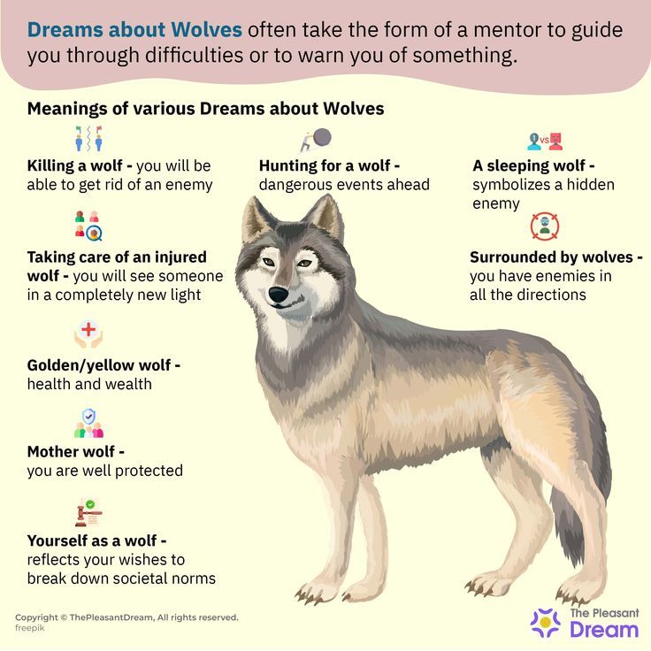 Dreaming About Wolves? Heres The Meaning of Wolf Dreams.