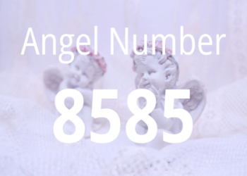8585 Angel Number: What Is It Trying to Tell You?