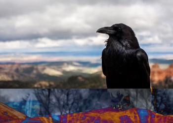 Slavery in astrology: Discover what house rules impacts.