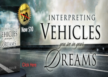 Horse dream dictionary: Interpreting your nighttime visions!