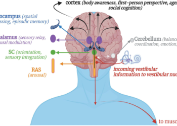 Dreams About Earthquakes Meaning: Exploring Fears and Anxieties