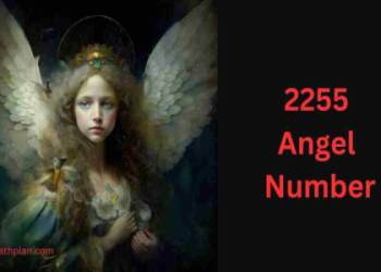 500 Angel Number: Your Guide to Love, Life, and Twin Flame Connections.