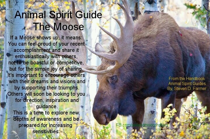 Discover the Spiritual Meaning of a Moose - Easy Tips!
