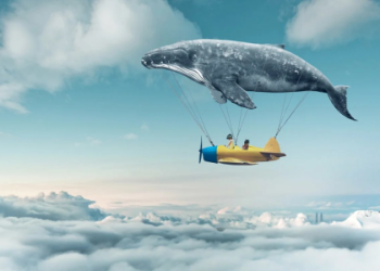 Last Nights Dream: I Saw 2 Dead Bodies | Exploring Possible Meanings