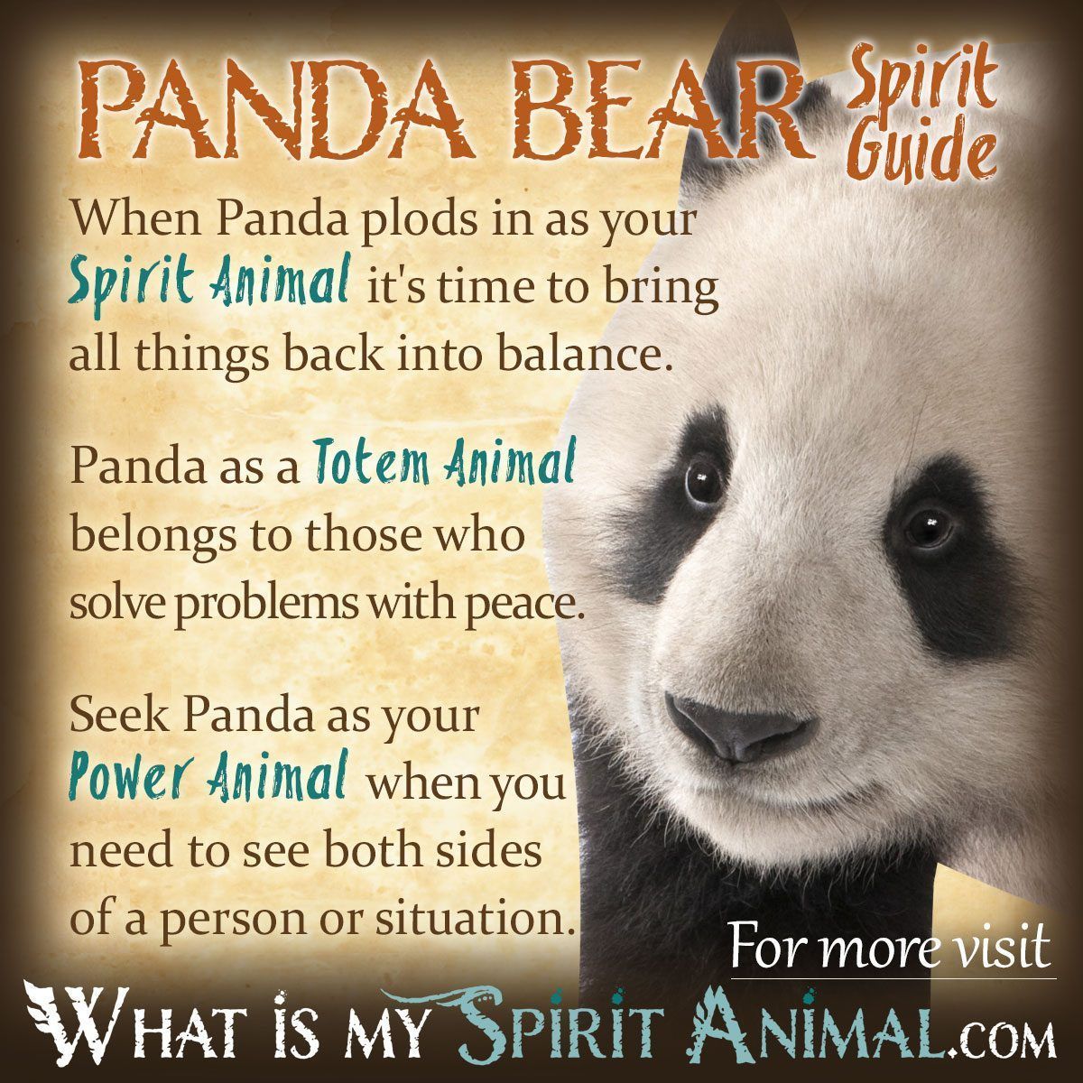 Panda Animal Totem: Simple Guide to Meaning and Symbolism