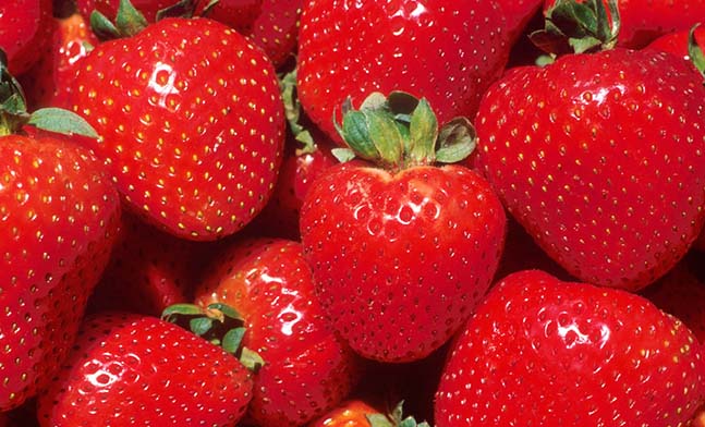 Strawberry Symbolism: What Does This Sweet Fruit Mean?