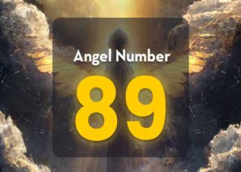 What Does the 229 Angel Number Mean? Find Out How It Can Impact Your Twin Flame Journey.