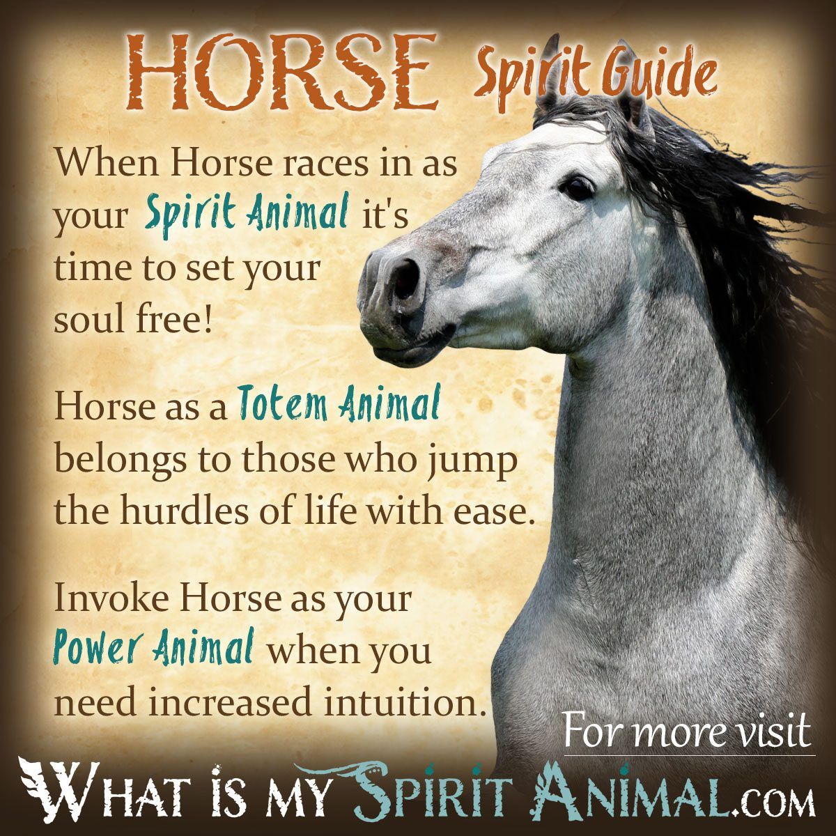 Horses Spiritual Meaning: Learn their Secret Symbolism.
