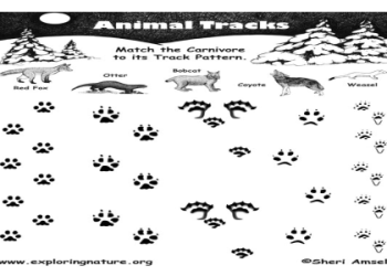 Unlock Hexagram 21: Practical Tips for Dealing with Legal Issues