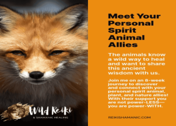 Discover the Power of Buffalo Animal Totem!