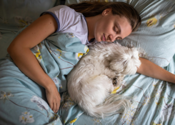 Puppy Dream Meaning: Common Interpretations & Symbolism