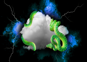 Hitting Dog in Dream Meaning: Bad Omen or Hidden Message?