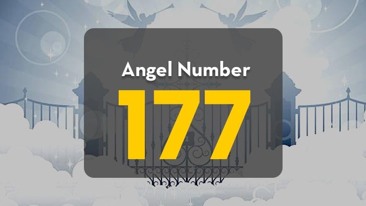 177 Angel Number in Love: Find Out What It Means for Your Relationship