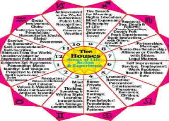 Sun in Sagittarius in the Sixth House: Find Your Best Job and Stay Healthy